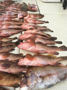 image7.JPG