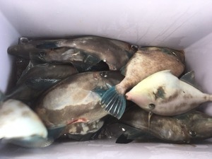 image10.JPG