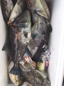 image8.JPG