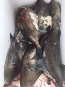 image9.JPG