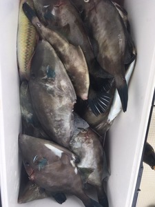 image9.JPG