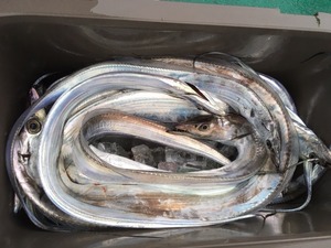 image3.JPG